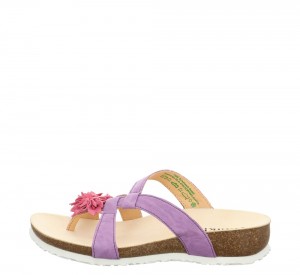 Női Think JULIA Mules Lila | LBK709286