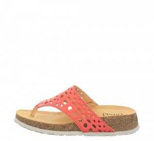 Női Think KOAK Mules Fekete | IRU325718